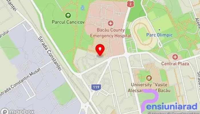 La Bettola Del Parco -  Hartă - Bacău