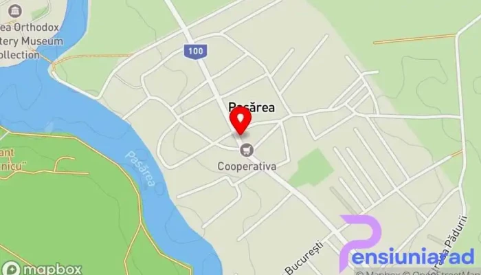 La buni - Pasărea