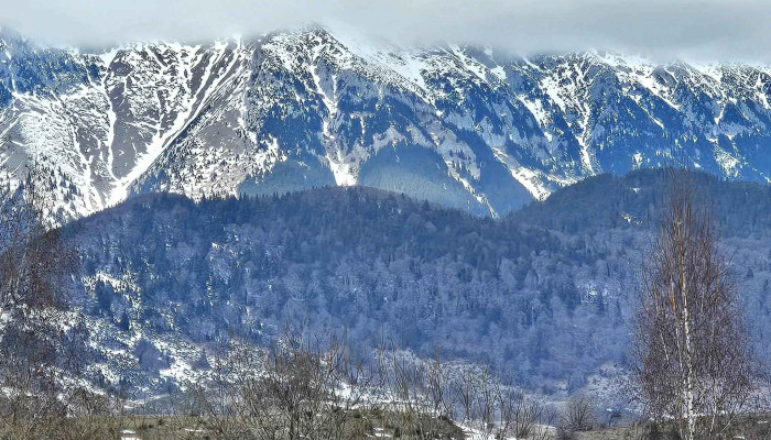 La Kaifas -  Brașov - Brașov