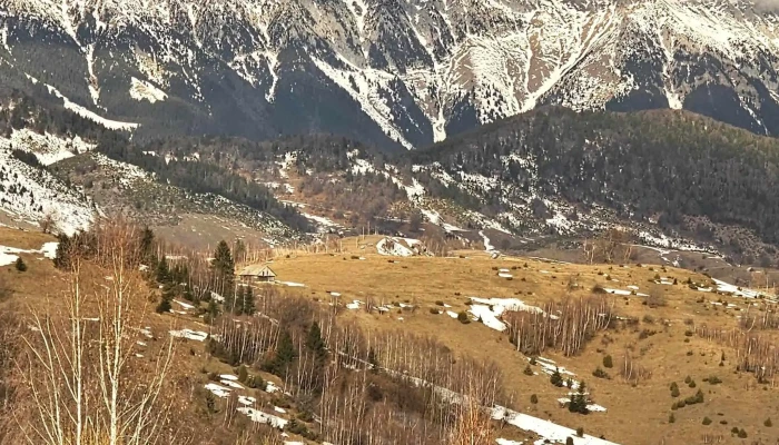 La Kaifas -  Program - Brașov