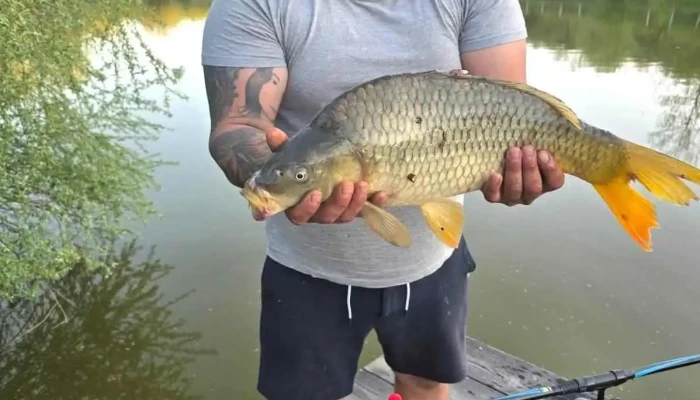 Lac Sanmarghita Cele Mai Recente - Sânmărghita