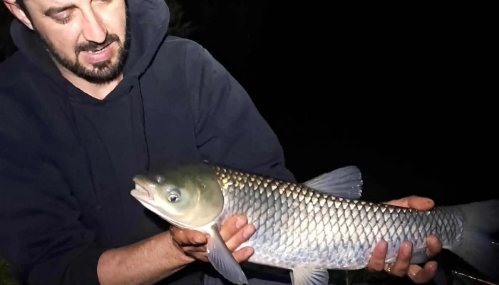 Lac Sanmarghita Cum Să Ajungi Acolo - Sânmărghita
