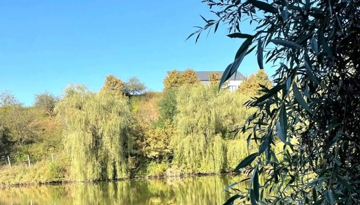 Lac Sanmarghita Videoclipuri - Sânmărghita