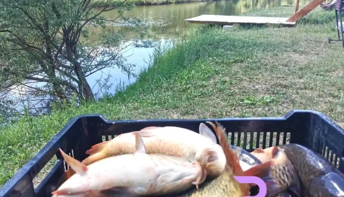 Lac Sânmărghita - Sânmărghita