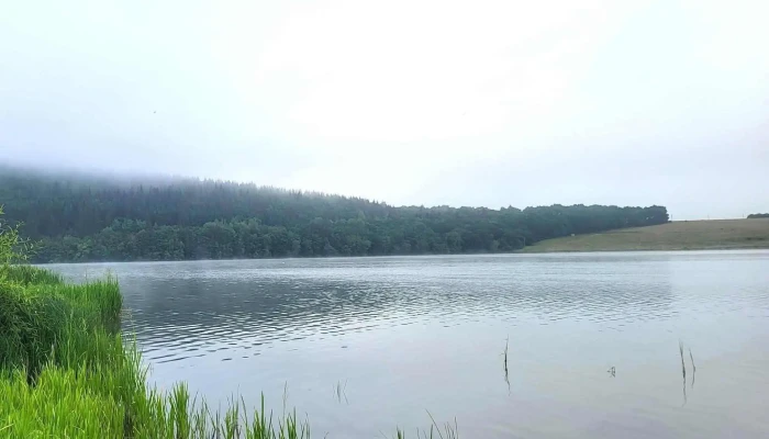 Lacul Padureni Cum Să Ajungi Acolo - Moacșa
