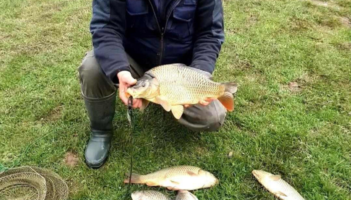 Lacul Padureni De La Proprietar - Moacșa