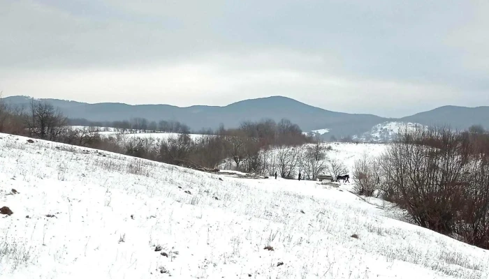 Lemnia - Romania