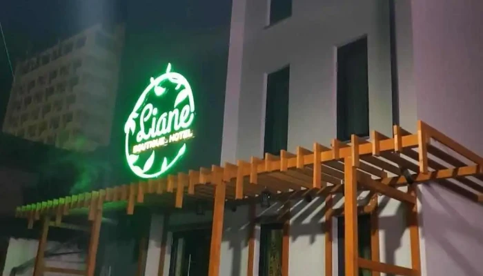 Liane - Câmpulung Moldovenesc