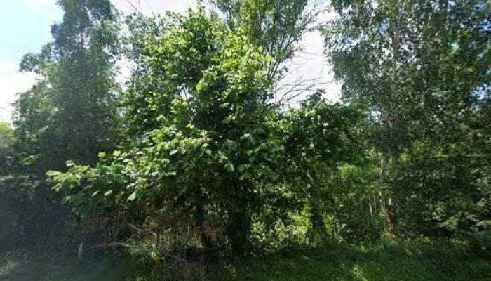 Loc De Tihna Street View Si 360deg - Valea Ierii