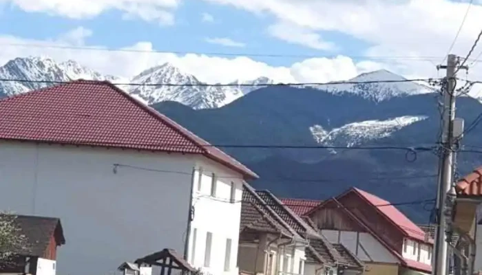 Los Primos - cazare in Arpasu de Sus - Arpașu De Sus
