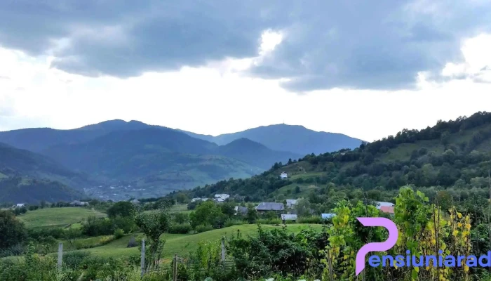 Lunca Lesului Instagram - Lunca Leșului