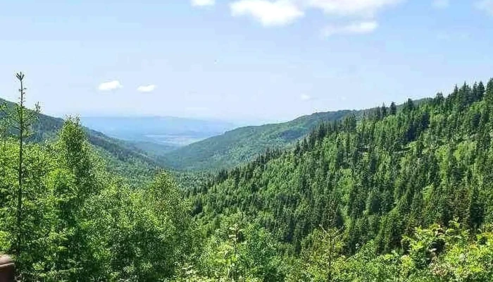 Magic Harghita Resort -  Promoție - Căpâlnița