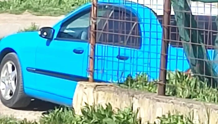 Manastirea Barnova Cele Mai Recente - Bârnova