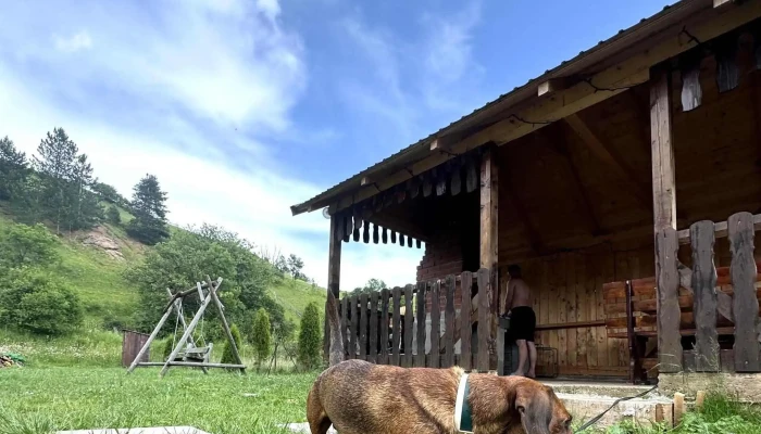Margau Escape -  Catalog - Mărgău