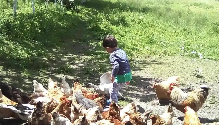 Margineni Slobozia Aproape De Mine - Mărgineni-slobozia
