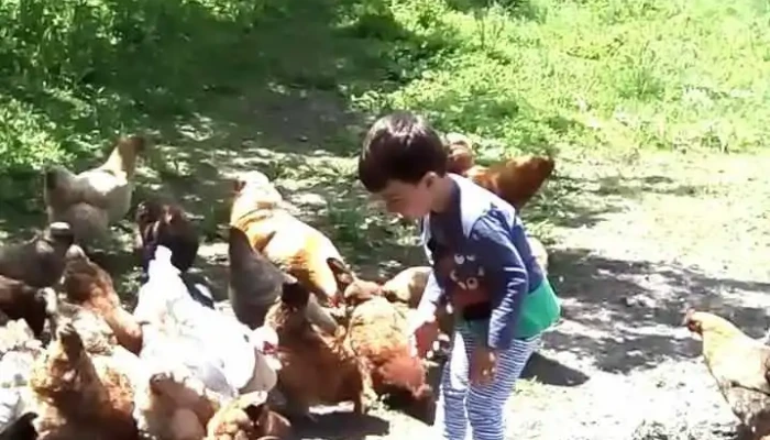Margineni Slobozia Videoclipuri - Mărgineni-slobozia