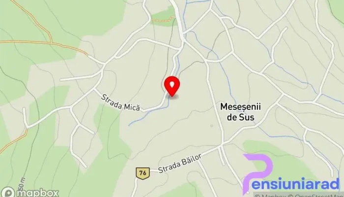 Mesesenii De Sus Hartă - Meseșenii De Sus