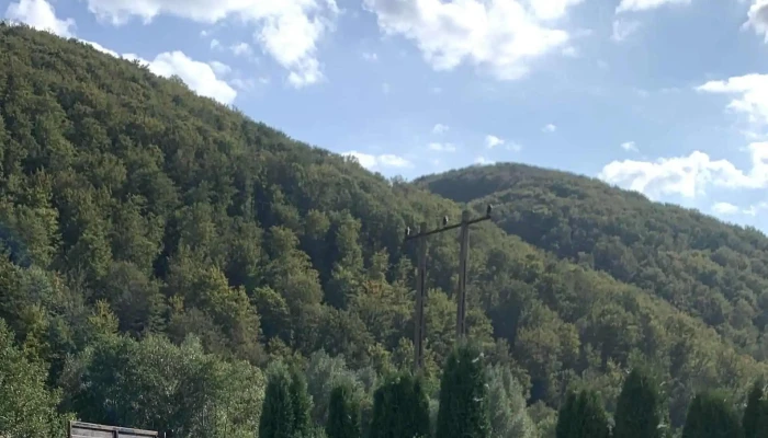 Moara Hucului -  Recenzii - Negreni