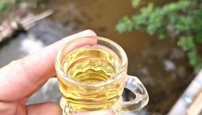Motolan Mancaruribauturi - Mehadica