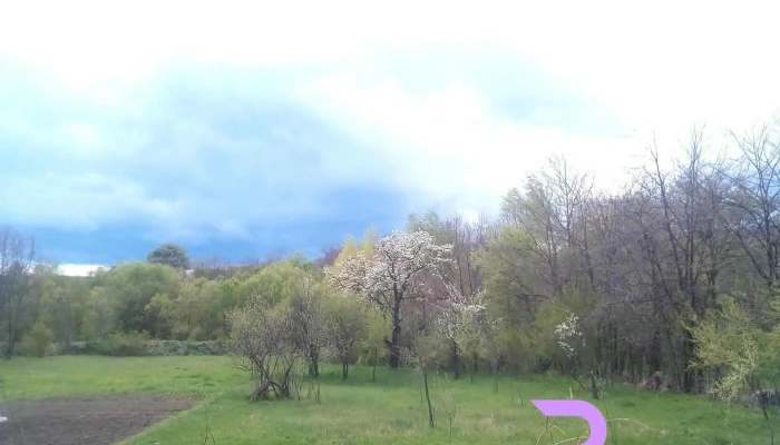 Movileni -  Adresă - Movileni