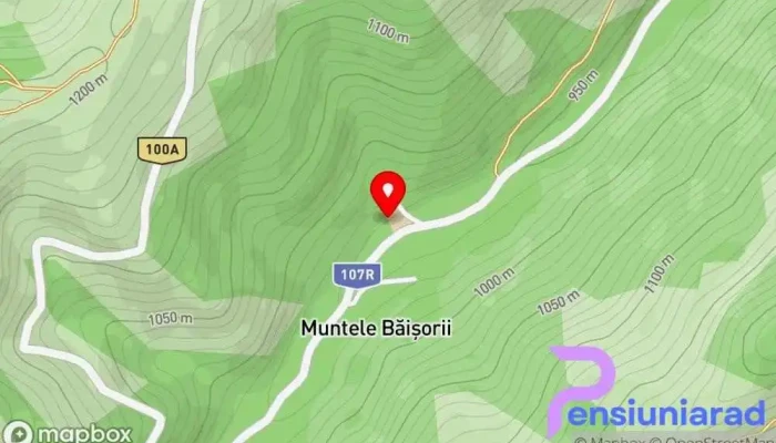 Muntele Băişorii -  Muntele Băişorii -  1 - Muntele Băişorii
