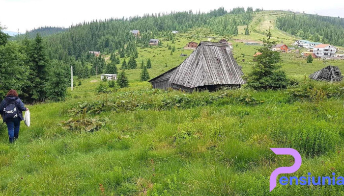 Muntele Băişorii -  Muntele Băişorii -  2 - Muntele Băişorii