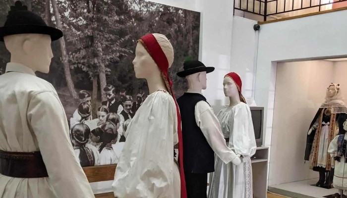 Muzeul Etnografic Gheorghe Cernea -  Site Web - Rupea