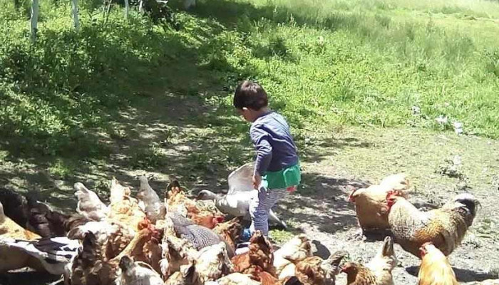 Mărgineni-Slobozia - Mărgineni-Slobozia
