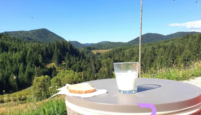 Nica Chalet -  De La Vizitatori - Fundata