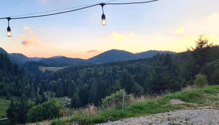 Nica Chalet -  Locație - Fundata