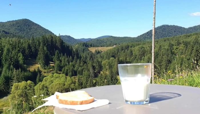 Nica Chalet -  Zonă - Fundata