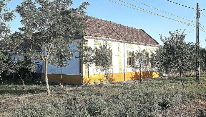 Nitchidorf Program - Nițchidorf