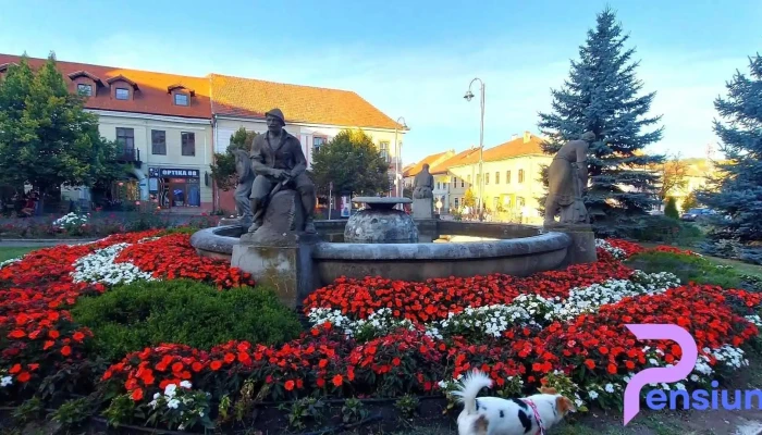 Nozon Apartments -  De La Vizitatori - Odorheiu Secuiesc