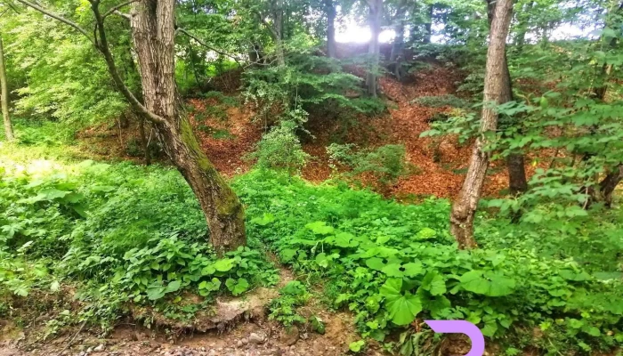 Obarsia Videoclipuri - Obârșia