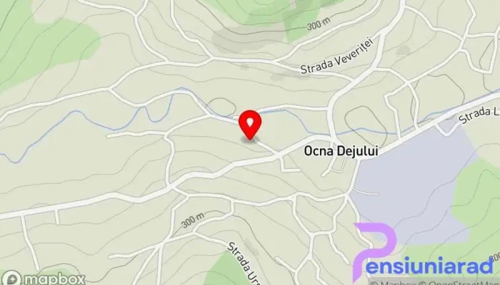 Ocna Dejului -  Hartă - Ocna Dejului