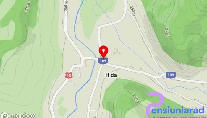 Old Dis Caffe -  Hartă - Hida
