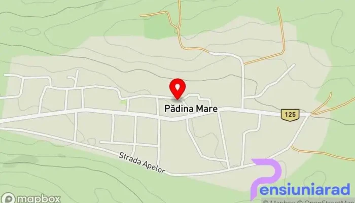 Padina Mare -  Hartă - Padina Mare