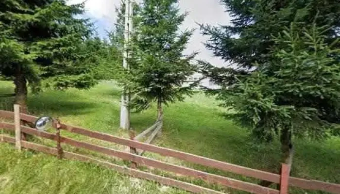 Padina Ursului -  Street View Si 360deg - Fundata