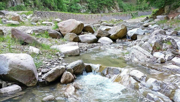 Paraul Basca Chiojdu De La Vizitatori - Romania
