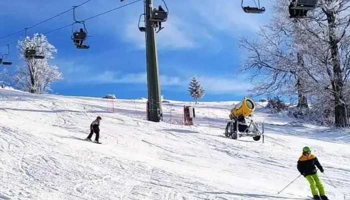 Partia Vărșag mountain carts - Romania