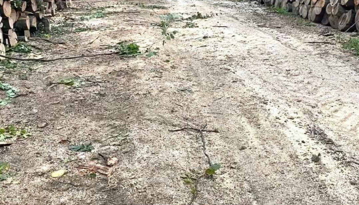 Pastravaria Crizbav Sc Nicogrec Com Srl De La Proprietar - Crizbav