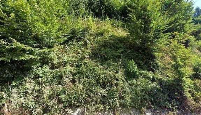 Pastravaria Romani Street View Si 360deg - Horezu