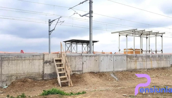 Paulis Arad Deschis Acum - Păuliș