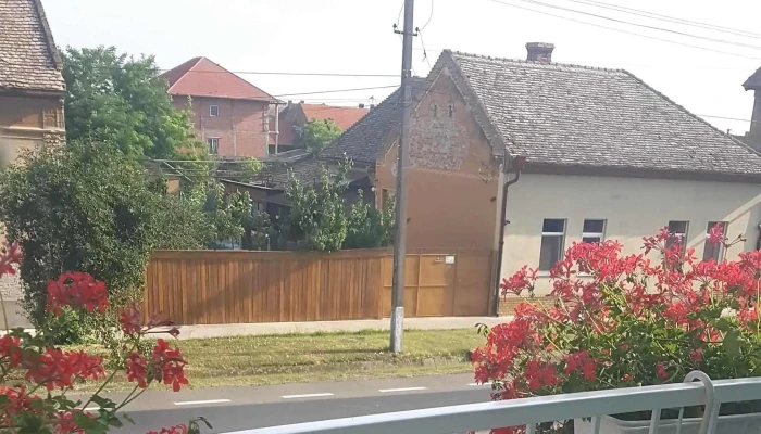 Pensiune Ariana Deschis Acum - Nădlac