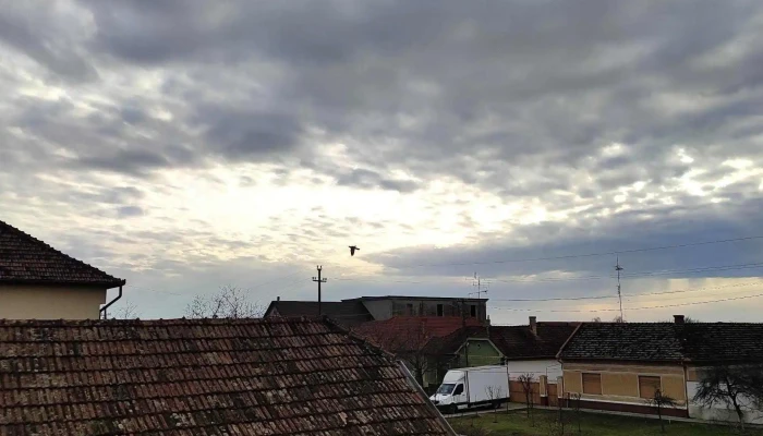 Pensiune Ariana Fotografii - Nădlac