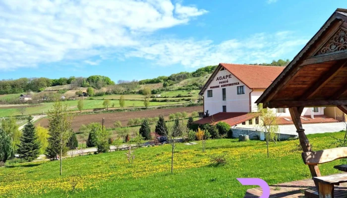 Pensiunea Agape -  Exterior - Aghireș