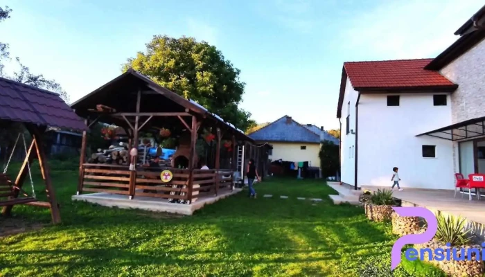 Pensiunea Agroturistică Crăița - Negreni