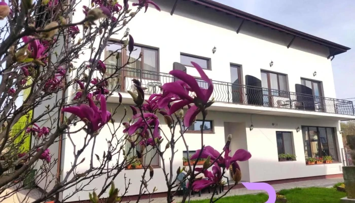 Pensiunea Alesia -  Exterior - Pucioasa