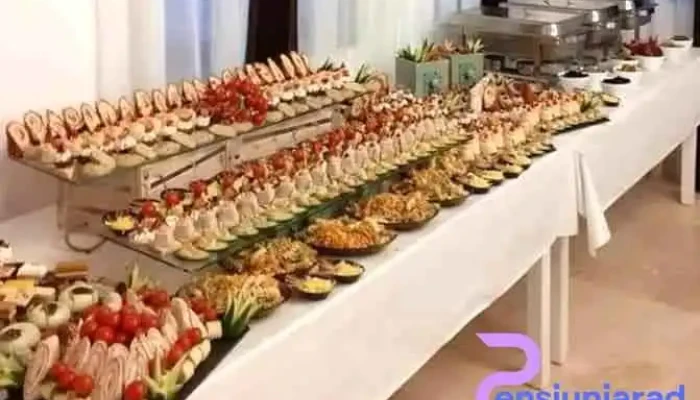 Pensiunea Alexandra -  Mancaruribauturi - Chesinț