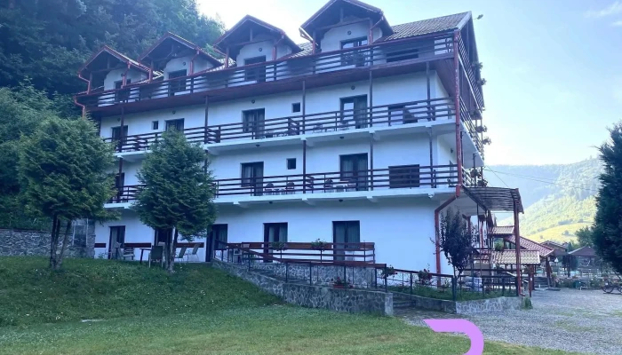 Pensiunea Alpin -  De La Vizitatori - Păltiniș